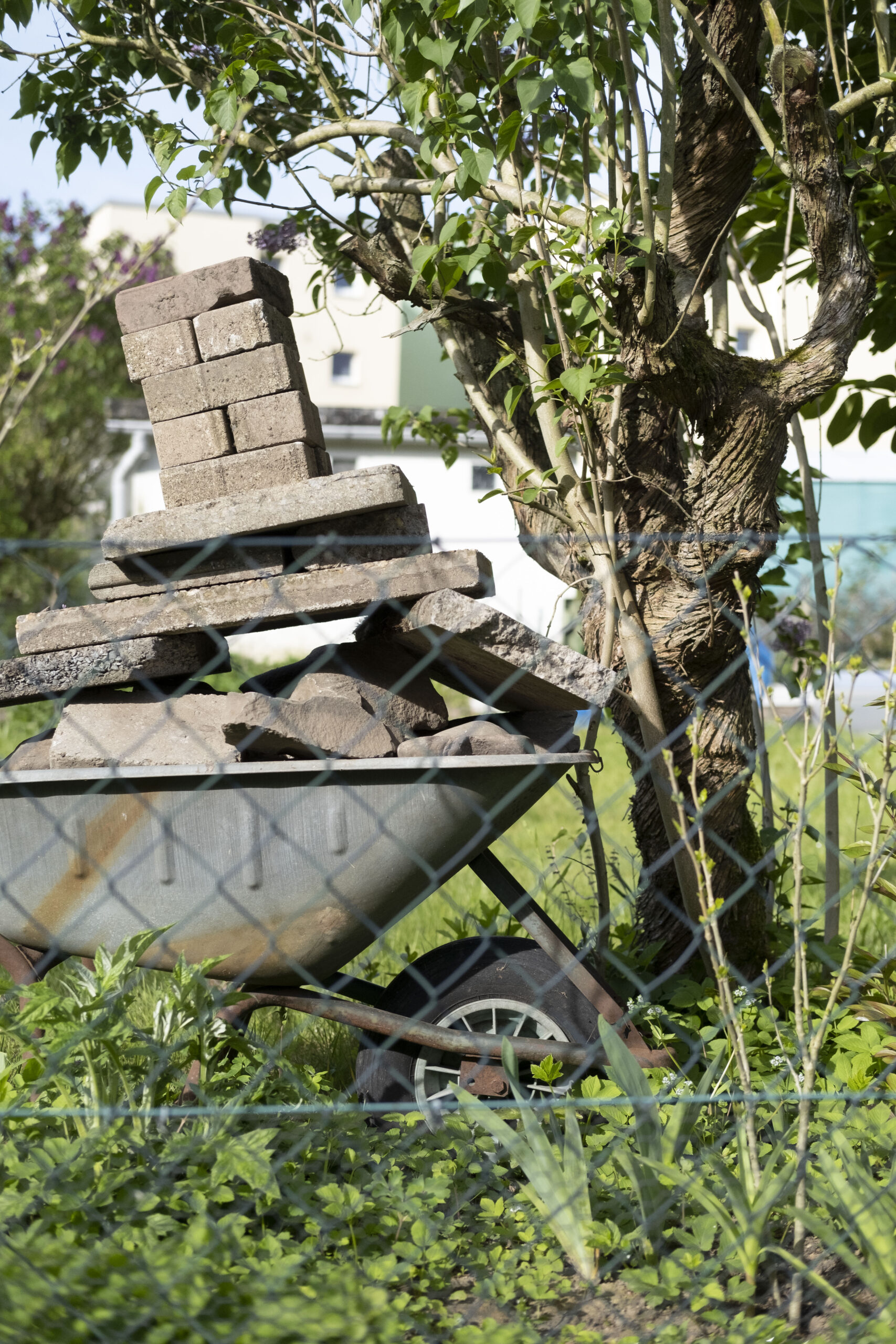 Hier eine Altewrnativtext zu dem Beitrag.